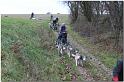 Tour Taunus 266